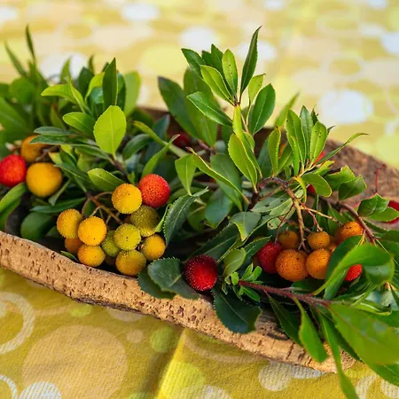 Girasole 2 בית נופש